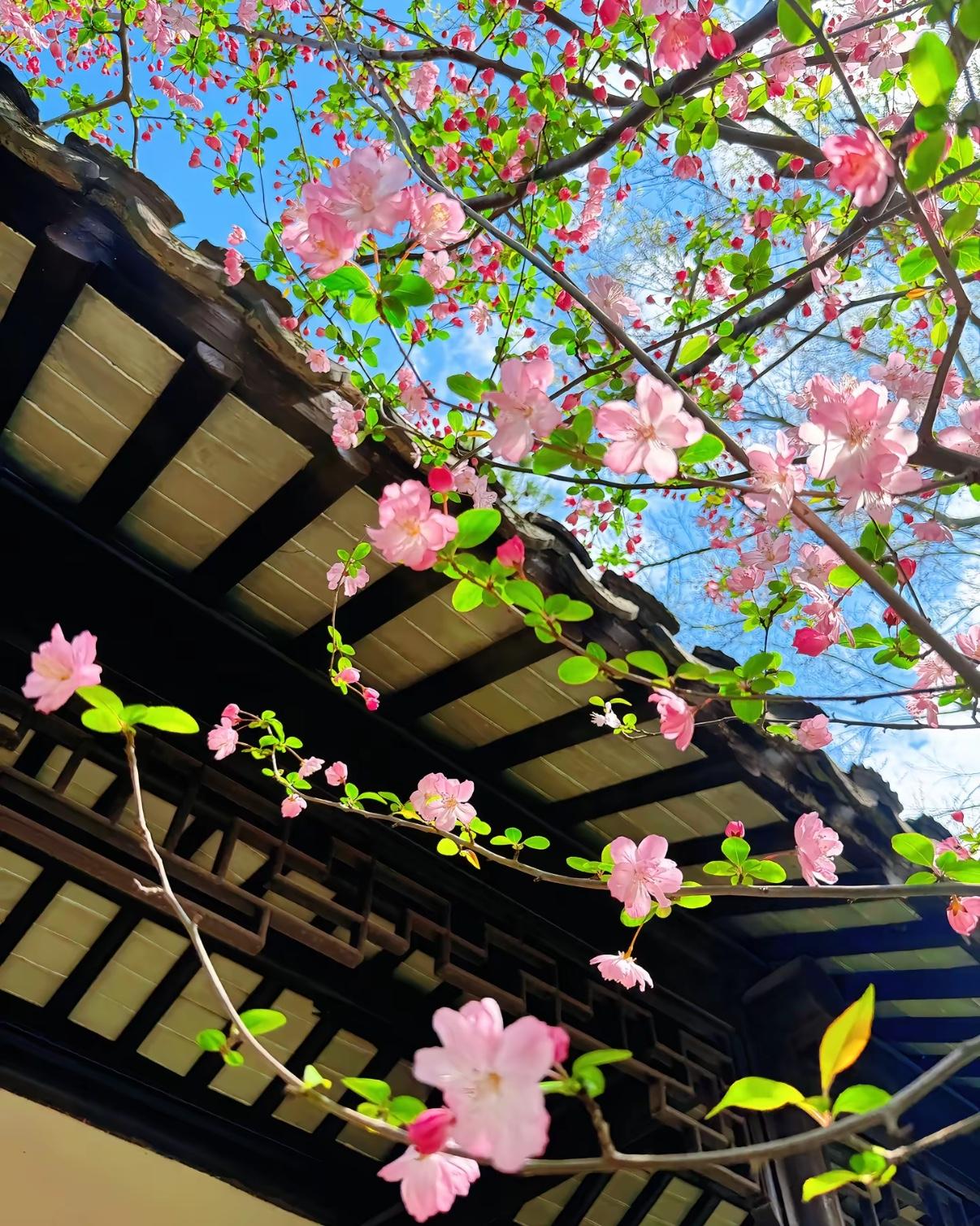 你会给老幼病残孕让座吗?说实话，我肯定会让。
尤其是看到老人颤巍巍站着、孕妇挺着