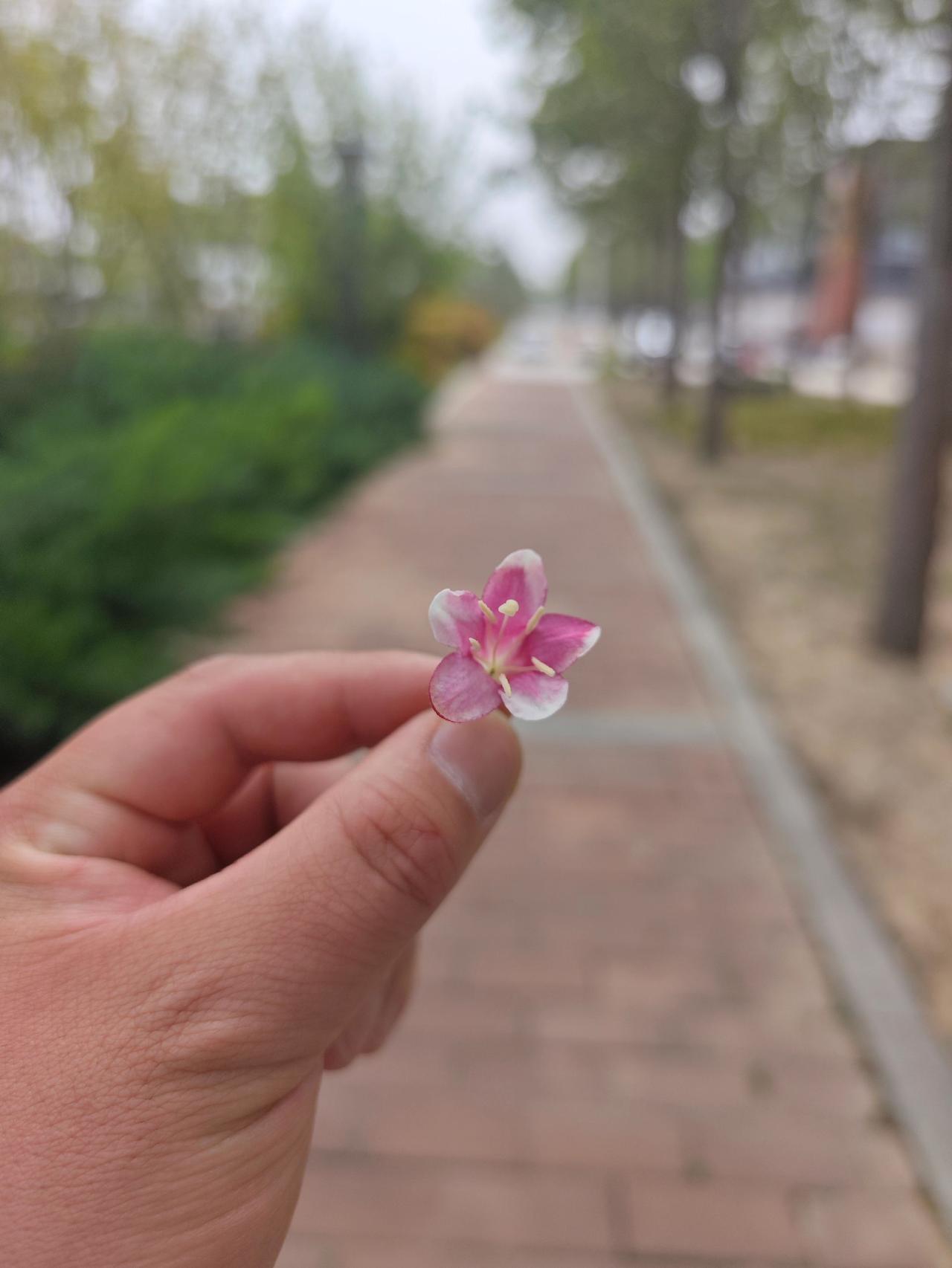 心有山海，静而不争！你若盛开清风自来