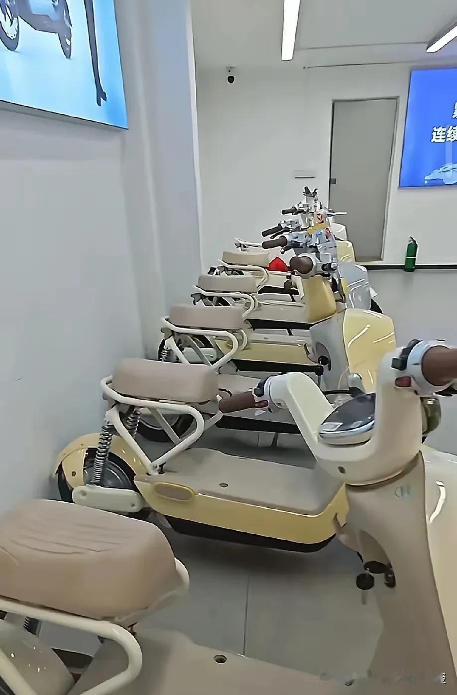 大家还是误会了。全网都在传的新国标电动自行车只是单人车型，还有可载人车型呢!
