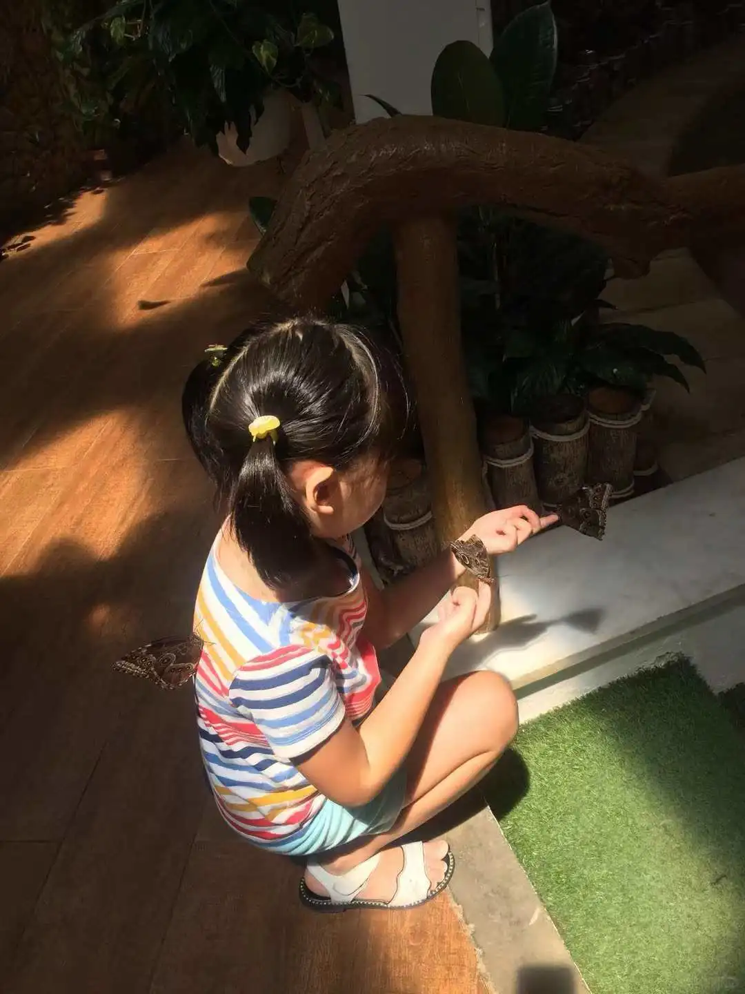 女儿如何反击校园霸凌