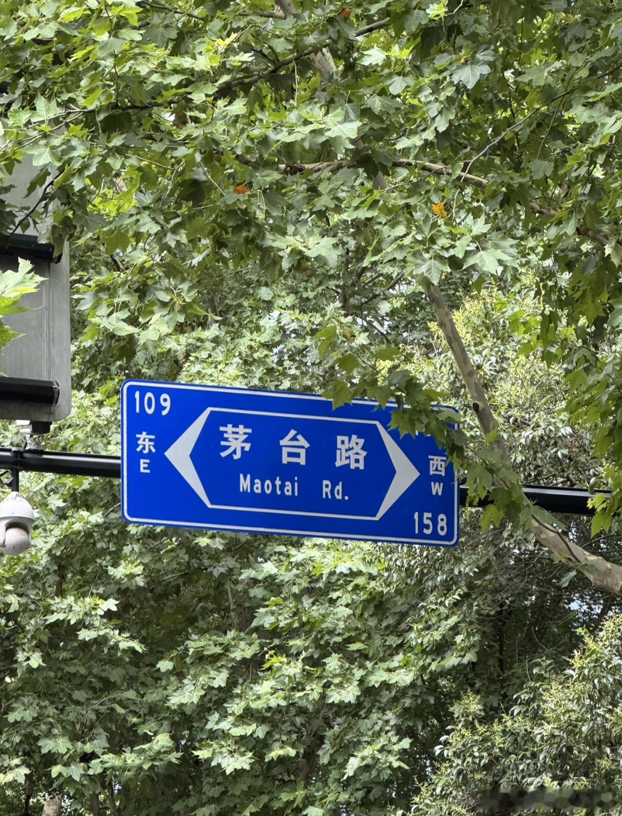 旅行电影四渡  周末终于挤出时间去看了电影《四渡》，电影里最戳动我的，是教导员在