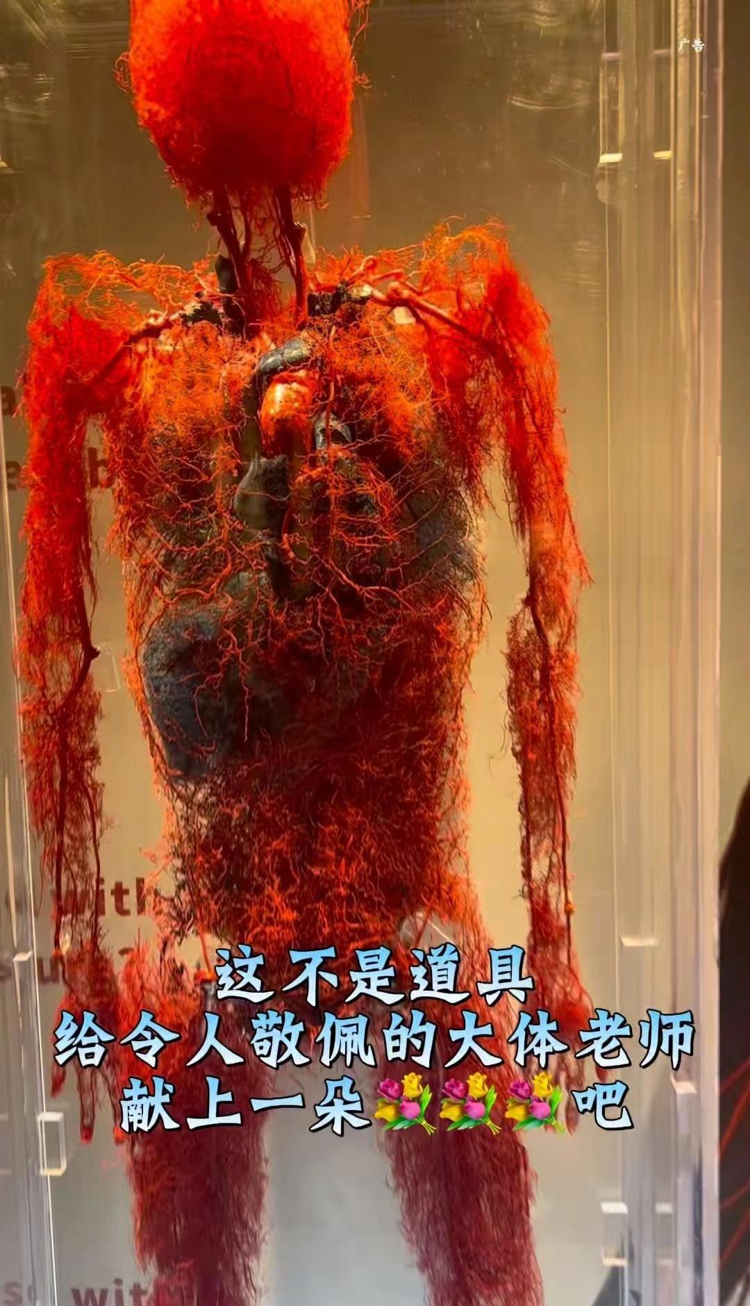 看到别划走，请给大体老师宝宝们献上一朵小花吧！大体老师生命奥秘生命的意义生命奥秘