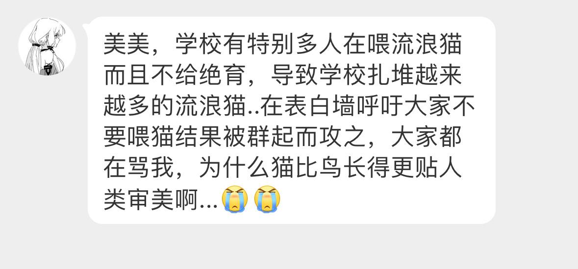 校园里的流浪猫不愁吃喝，投喂的大有人在而随意投喂只会促使让流浪猫大量聚集，肆无忌