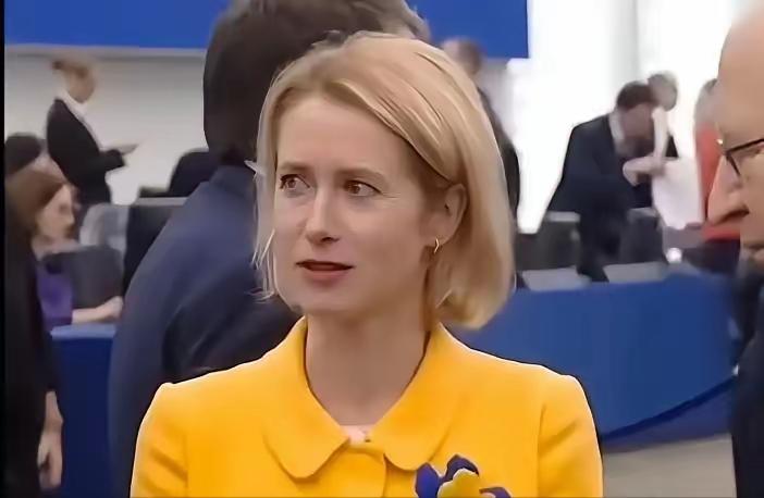 出乎意外，欧盟呼吁和平解决伊朗问题！

伊核问题，欧盟一直跟进美国政策，就在中东