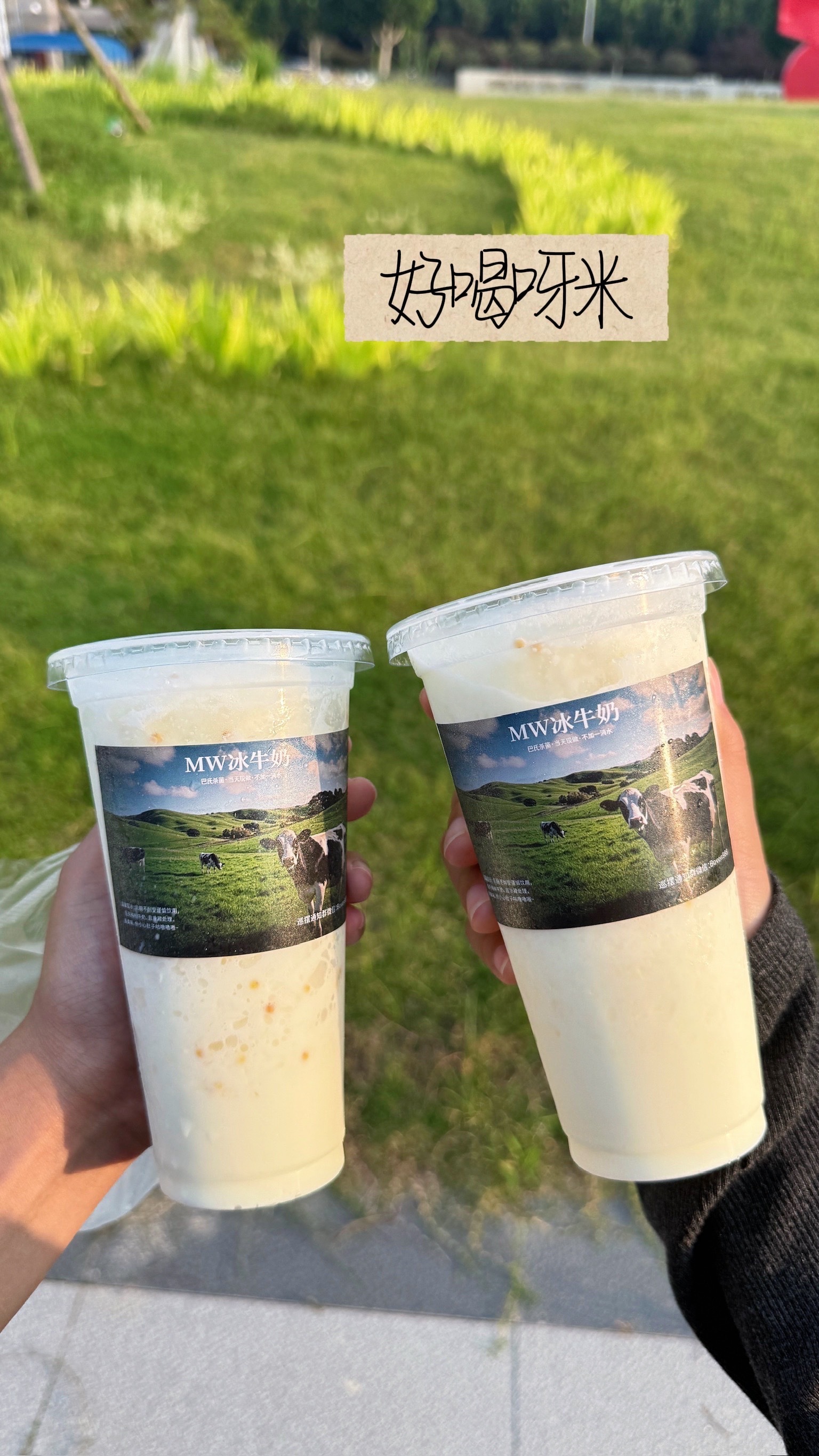 冰牛奶不错 