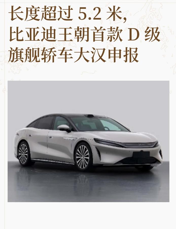 年轻人开D级车，大汉这设计我觉得挺合适
以前总觉得D级车是中年人开的，商务气息太