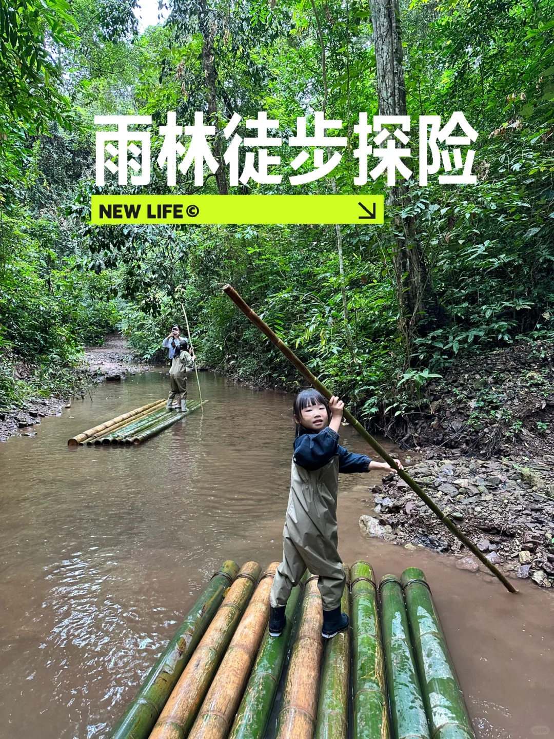 西双版纳亲子游的正确打开方式✔️雨林徒步