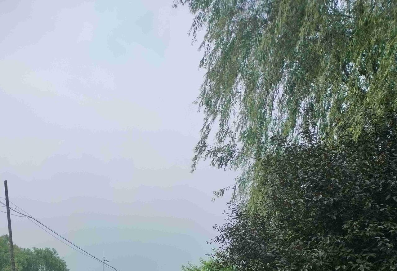 我的今日状态：😁轻松愉快
我这里的天气：🌈雨过天晴