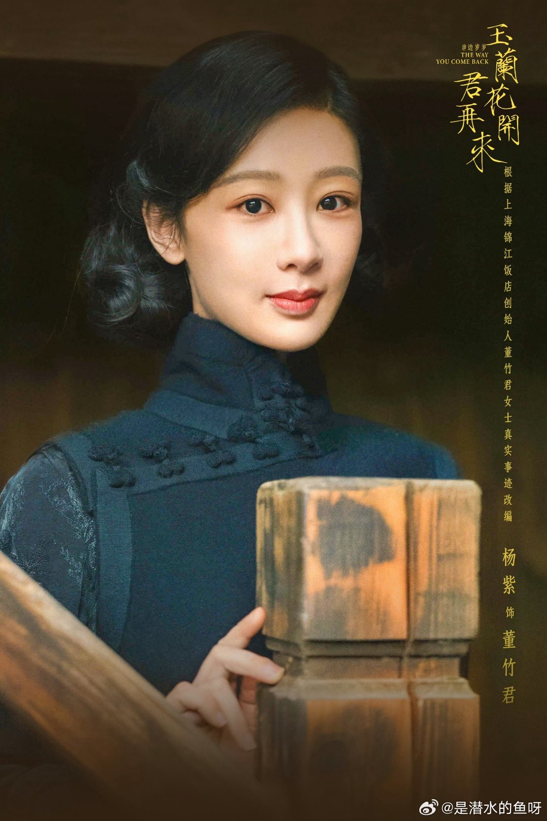 电视剧玉兰花开君再来 yz杨紫董竹君 yz杨紫玉兰花开君再来你永远不会倒我心中的