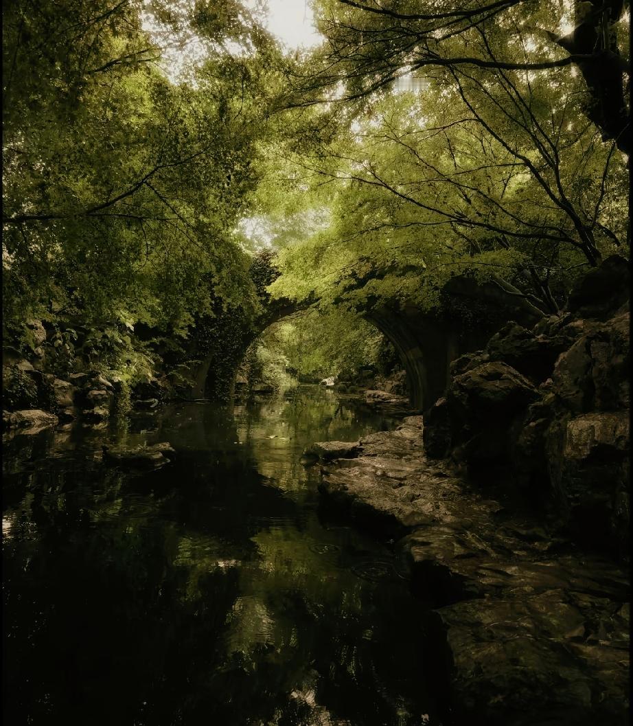 ：）后来啊，大家都不敢晒幸福了，因为幸福指不定哪天变
成了巴掌，然后扇在自己脸上