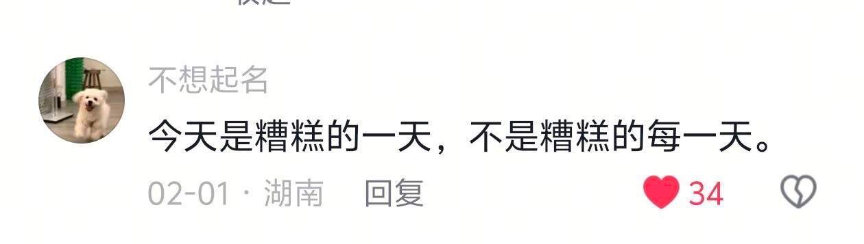 只有文字才能担此重任，体现生命的意义 ！ 