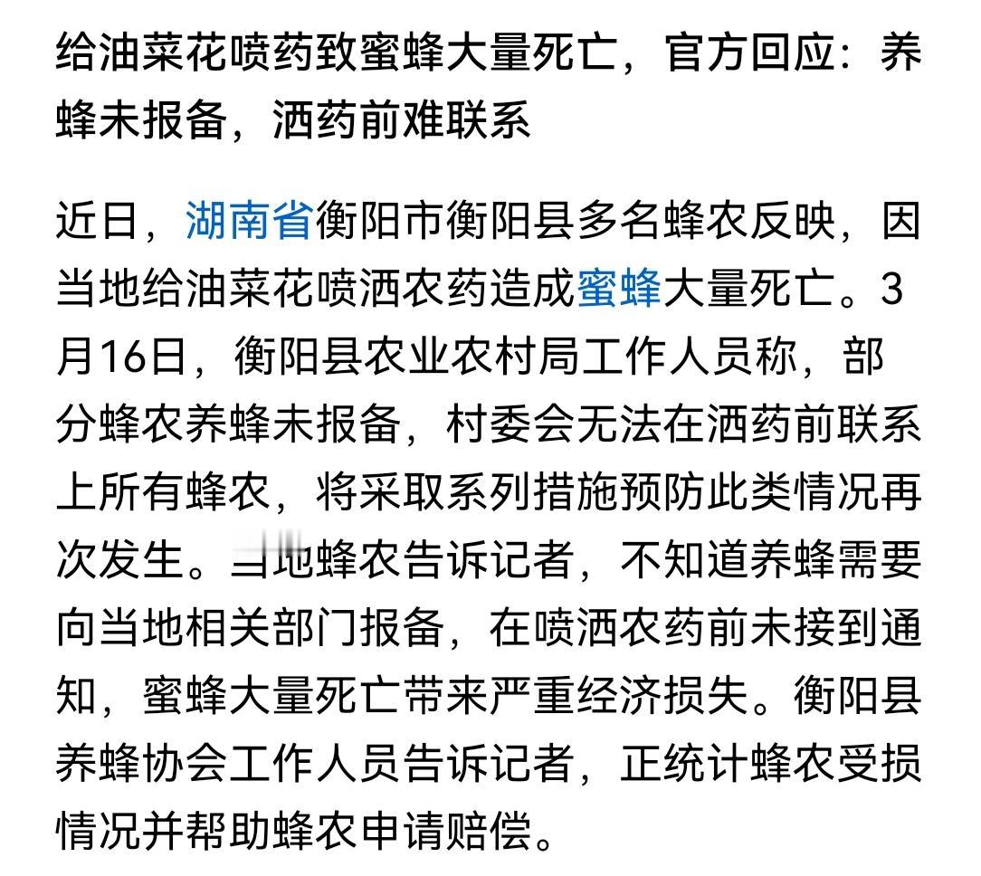 油菜花要打药，养蜜蜂要报备，出问题后的解释都按标准来的，预防问题出现前能否也能严