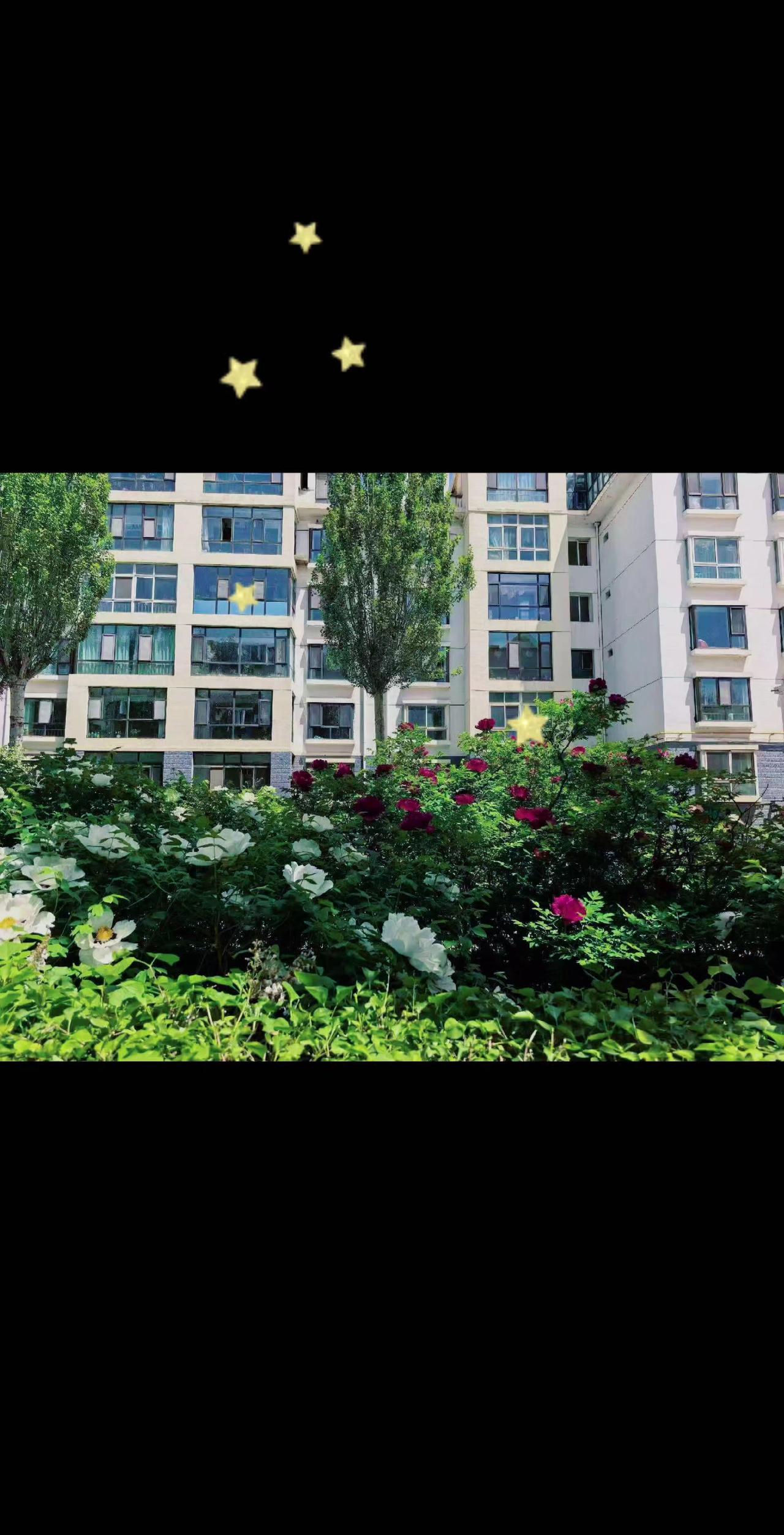 我在楼下吃2元一个的包子，等着楼上补380元一节课的儿子，2元一个的包子我可以吃