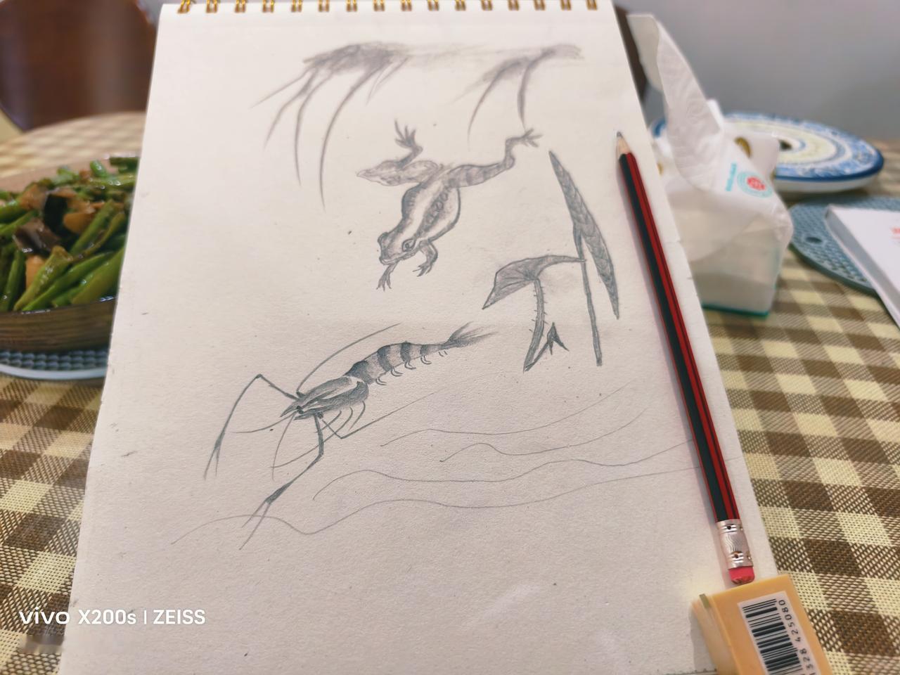 夏日生活打卡季绘画寻找生活的乐趣，享受夕阳之美。