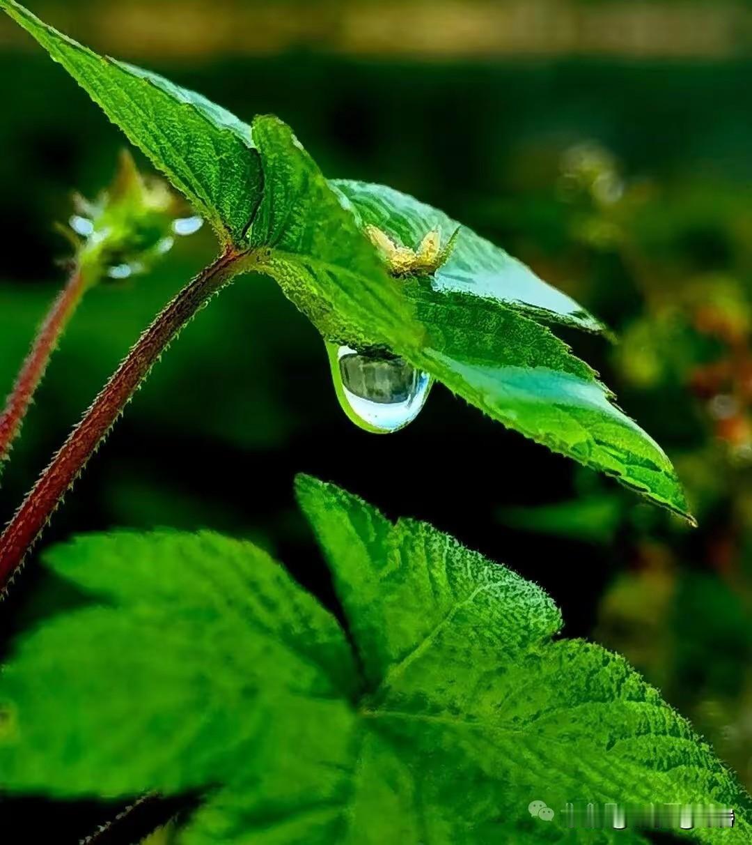 匆匆
 
不必总说人生苦短
短的从来不是时间
是没来得及说的话
是转身就散的缘