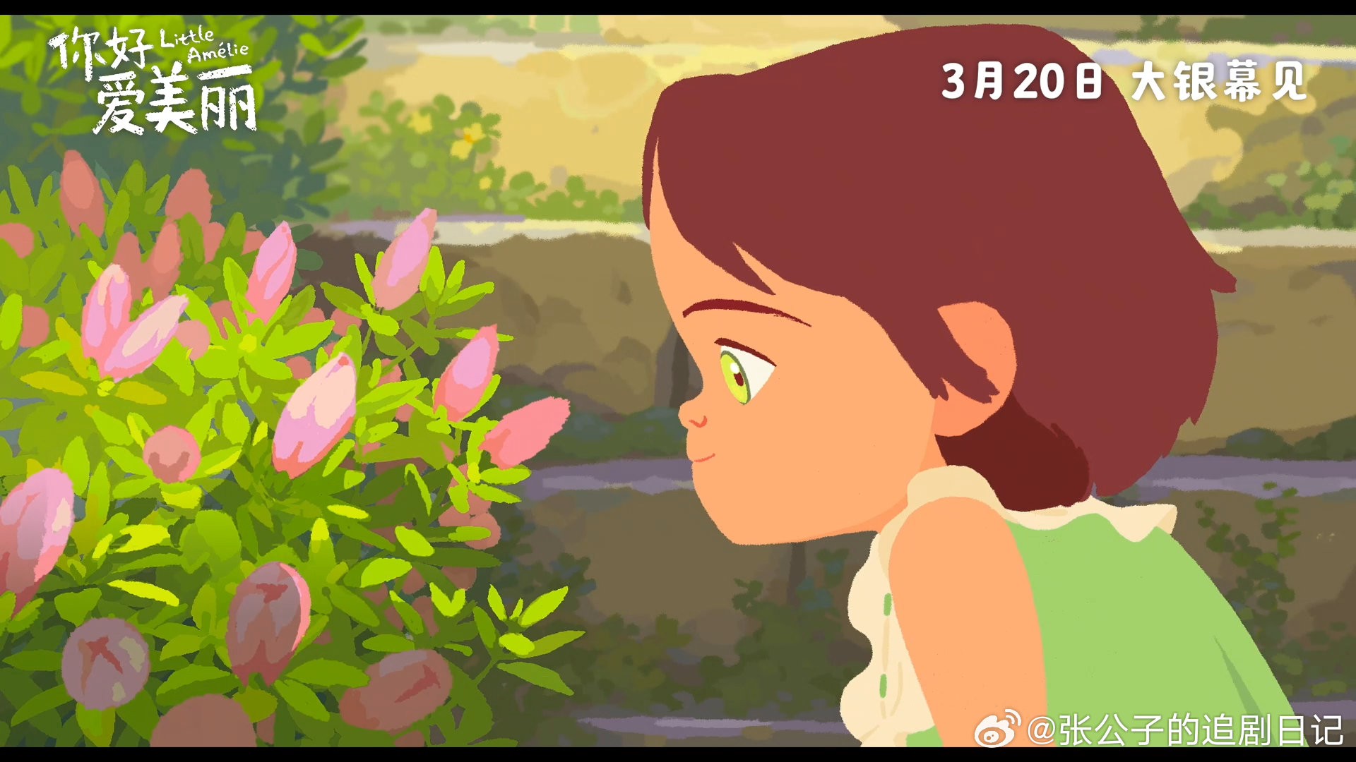 奥斯卡提名动画你好爱美丽定档电影你好爱美丽定档春分马卡龙配色直接戳中审美，海外口