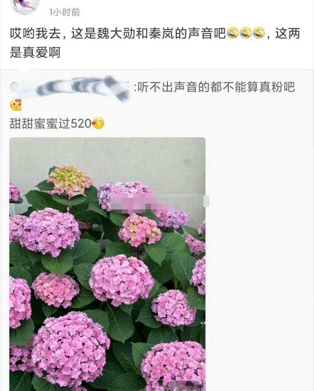 秦岚520发了疑似有魏大勋声音的live图… 