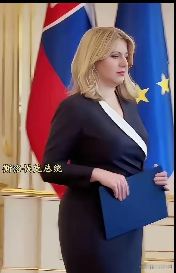 都说这个女人长得很漂亮，但是用我的审美眼光来评价的话，感觉非常一般，类似于这样颜