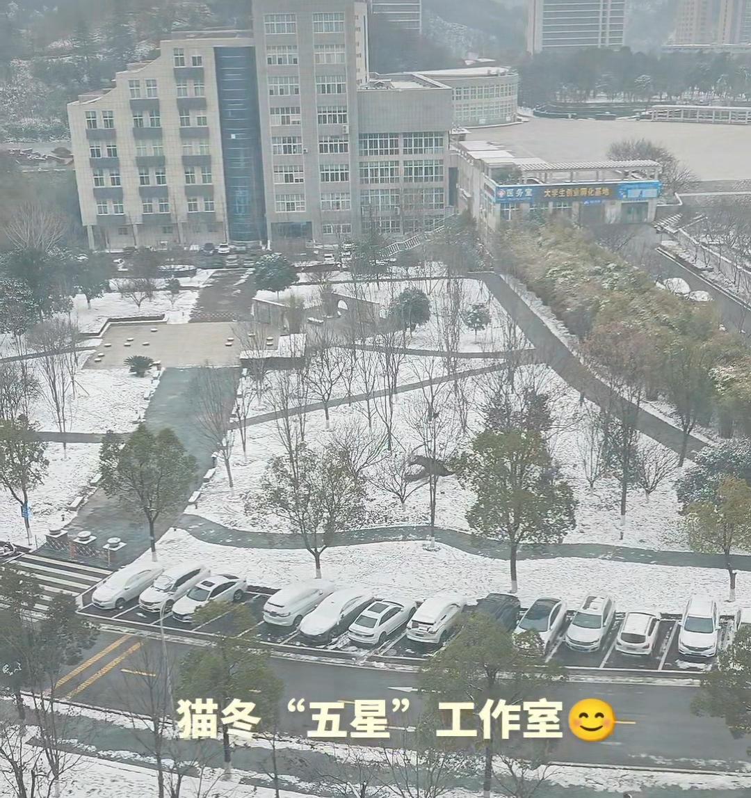 雪后的闲暇，煮好黄精茶，约三五好友，来工作室里一边儿卡五星、一边儿畅聊……