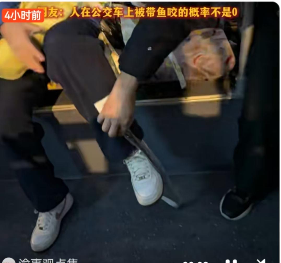 12月24日，平安夜，江苏的一辆公交车上挤满了归心似箭的人。车厢内充斥着羽绒服摩