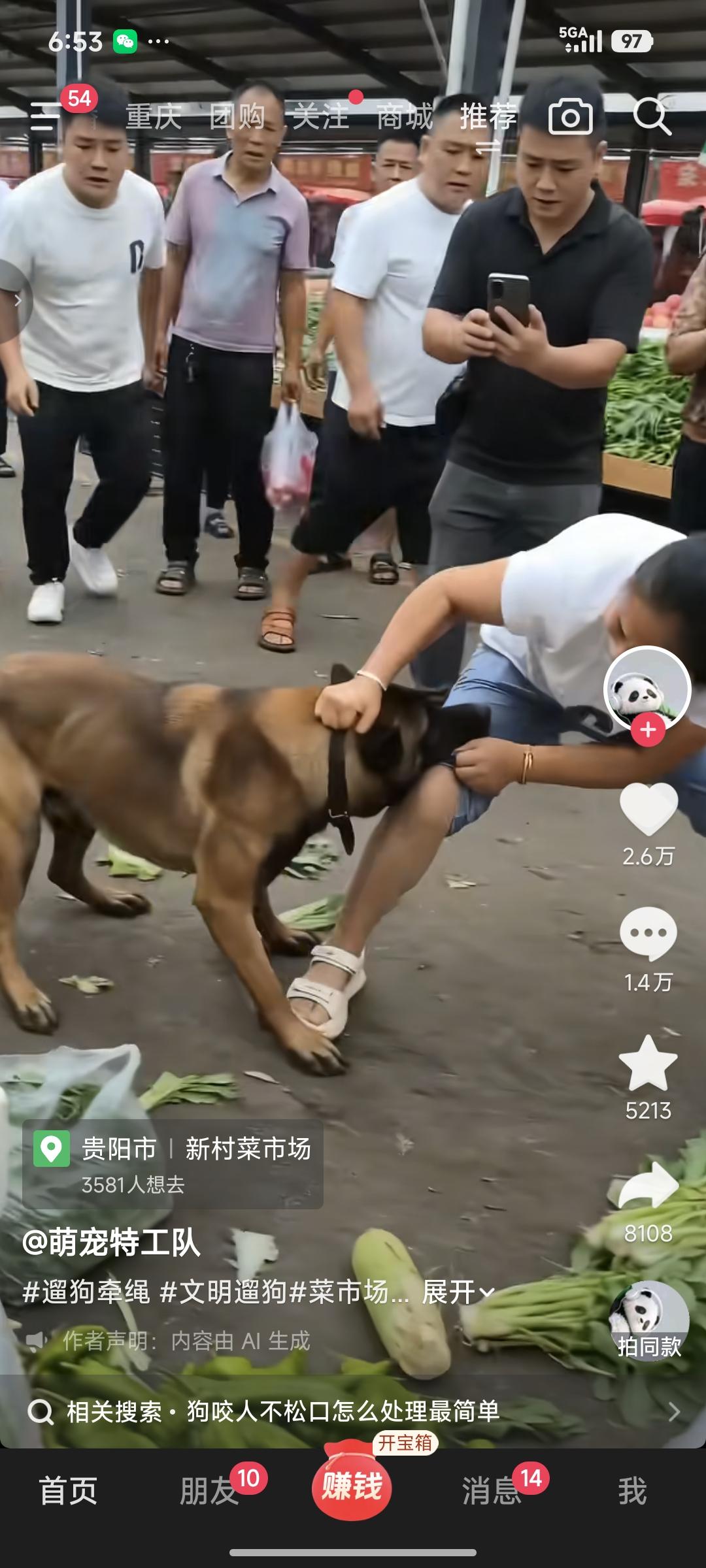 其实养宠物并没有人反对，但养宠人必须遵守法律法规，什么狗可以养，什么狗不能养，一