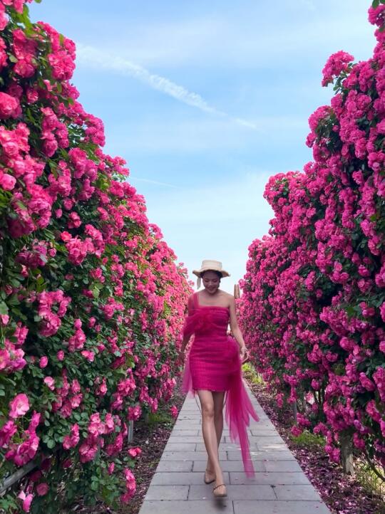 海宁花卉城🌸超全拍照攻略📸这些机位绝了‼️
