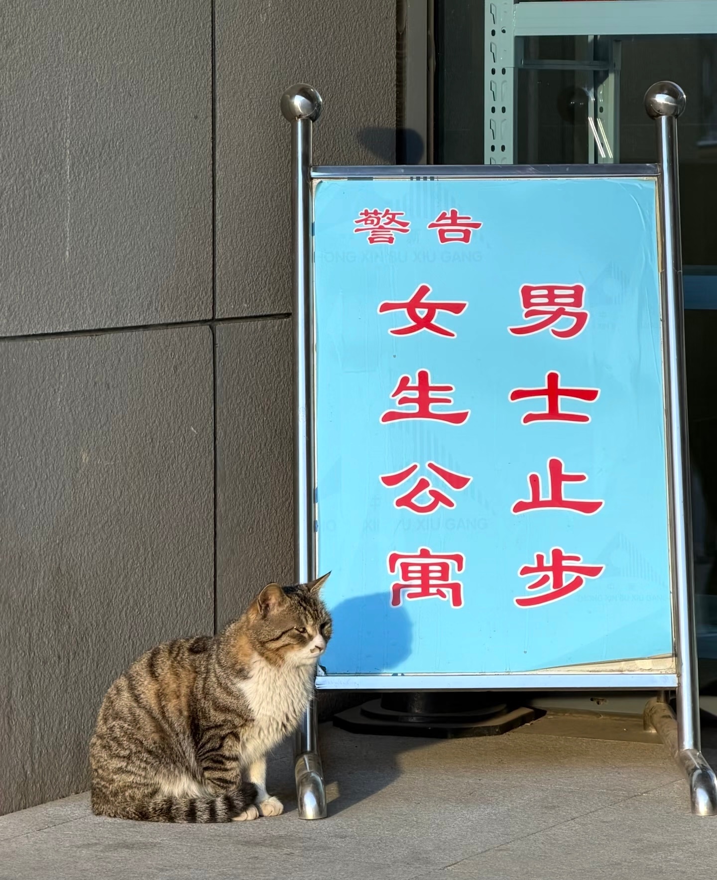 女生公寓，男咪止步 