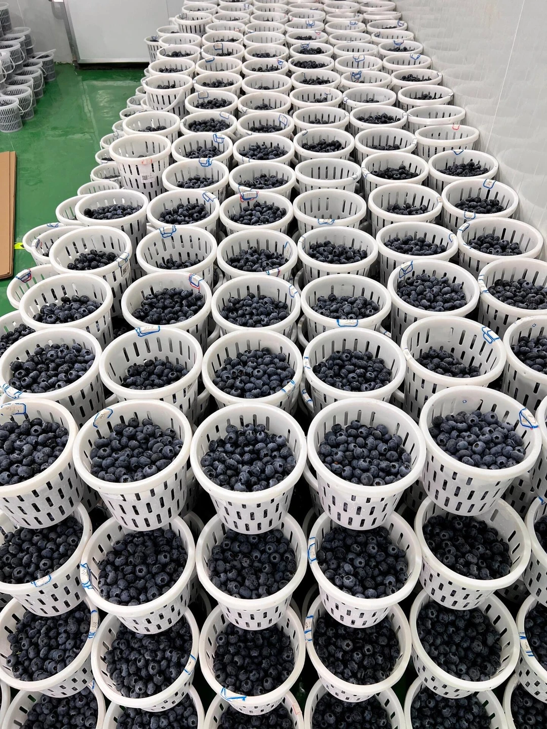 库管怪我把蓝莓降到40💰一桶，直接爆仓了。