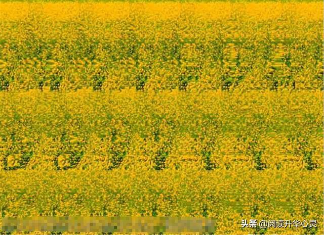 会上瘾的三维立体图