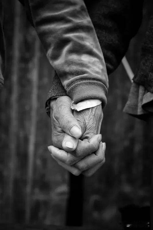 维系婚姻长久哪有什么惊天秘诀，其实就藏在日常小事里。就像菜市场那对挑西红柿的老夫