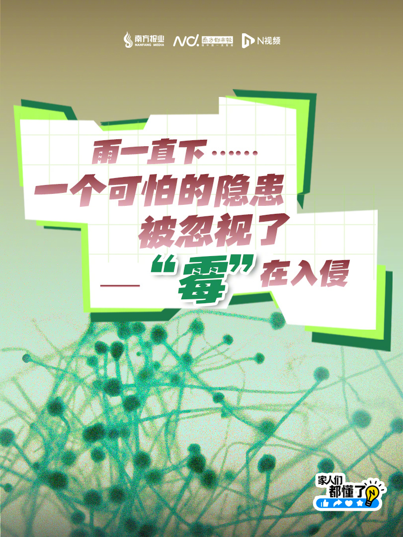 【#不少广东人家里发霉了# 潮湿+温暖+闷堵是霉菌疯狂生长的助推器】雨一直下……