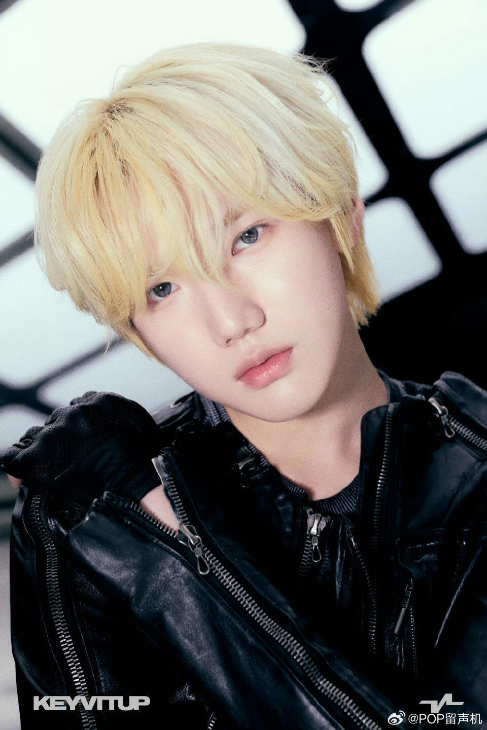 金俊奎和sakuya之子 