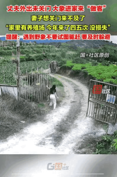 云南一丈夫外出未关门，老婆在家带娃时，门外狗突然狂叫不止，她还以为是丈夫回来了，