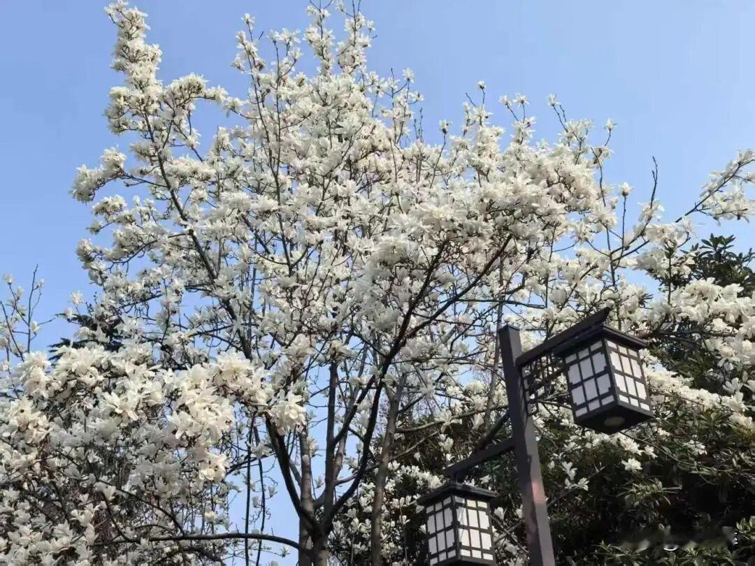 千万别再怪平台不公了，你没火，真不是运气！
总有人觉得：
“别人写的也就那样，我