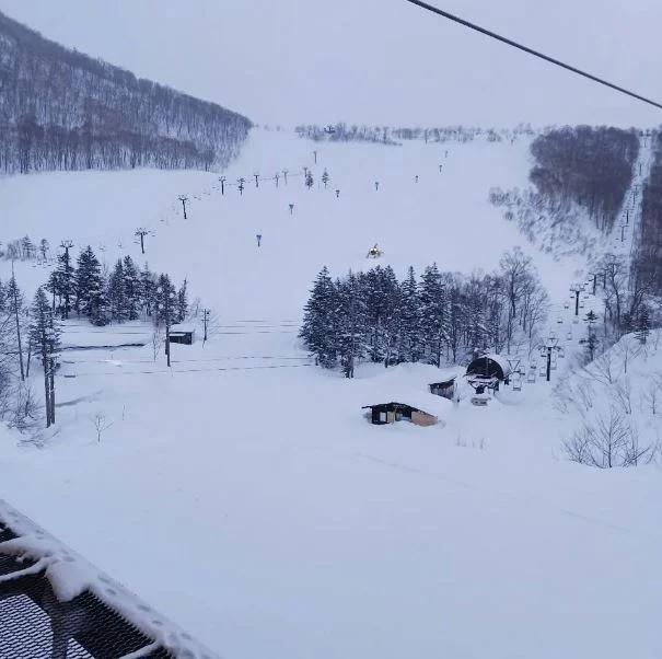 客死他乡，， 来自澳洲的22岁女性1月30日在日本长野县小谷村相池高原滑雪场遭遇