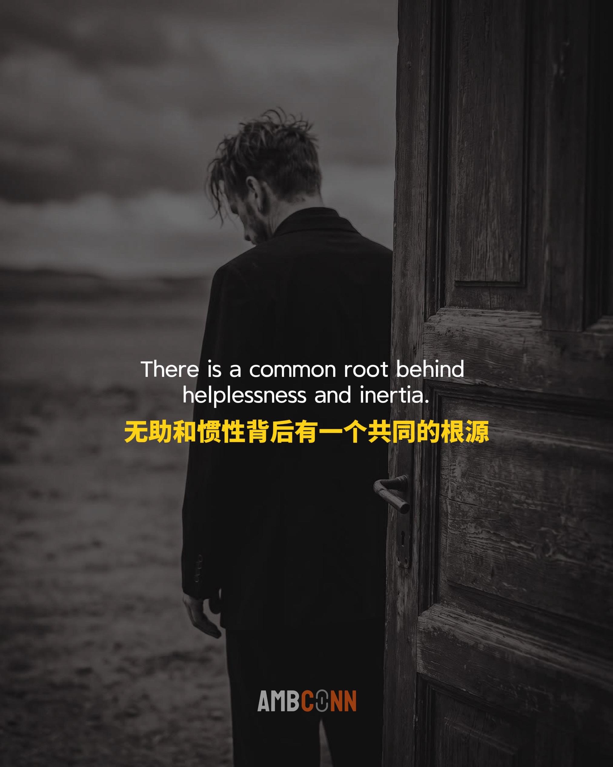 无助和惯性背后有一个共同的根源，那就是恐惧与无知，我们总是在害怕，害怕...