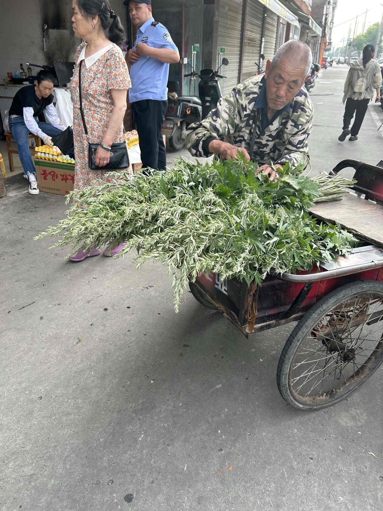 去菜市场买菜，菜市场门口几个人在卖艾草。

听别人在问怎么卖：长的大的5块钱1把