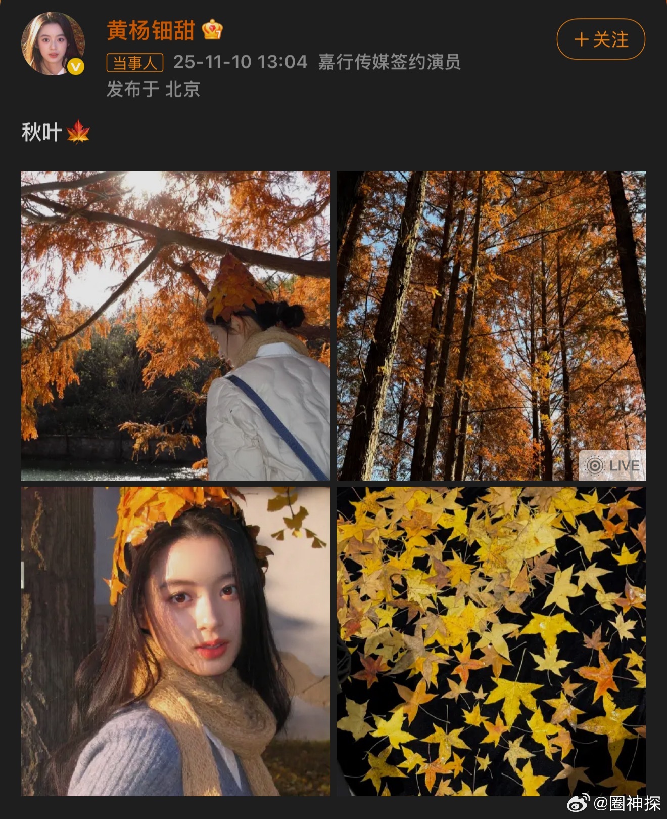 黄杨钿甜更新动态 突然更新🍁 ​​​