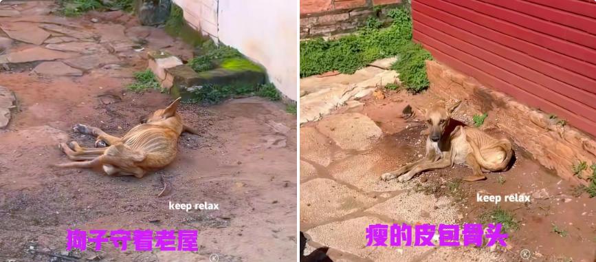可以不爱，但也请别伤害！
近日，看到一则消息。一男子与父亲相依为命，前两年，父亲
