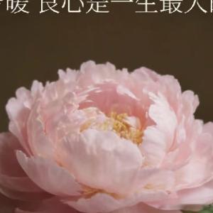 生活手记怀着乐观和积极的心态，把握好与人交往的分寸，让自己成为一个使他人快乐的人