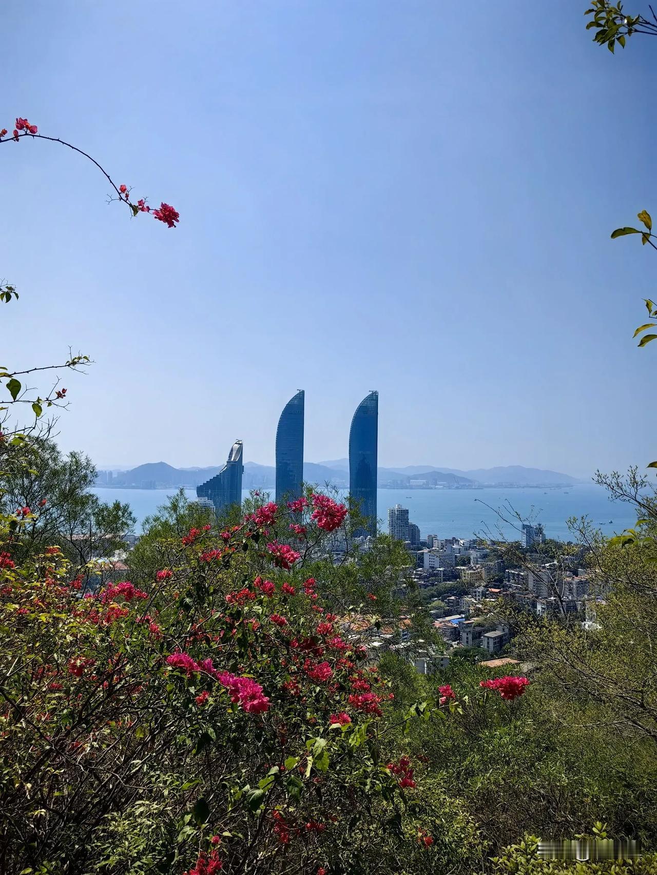 昨天去了厦门南普陀寺后山五老峰玩，突然发现远处的双子塔像两把锋利的“菜刀”矗立在