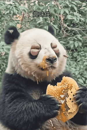 为了这一口，值了！谁懂啊，我直接冲了！