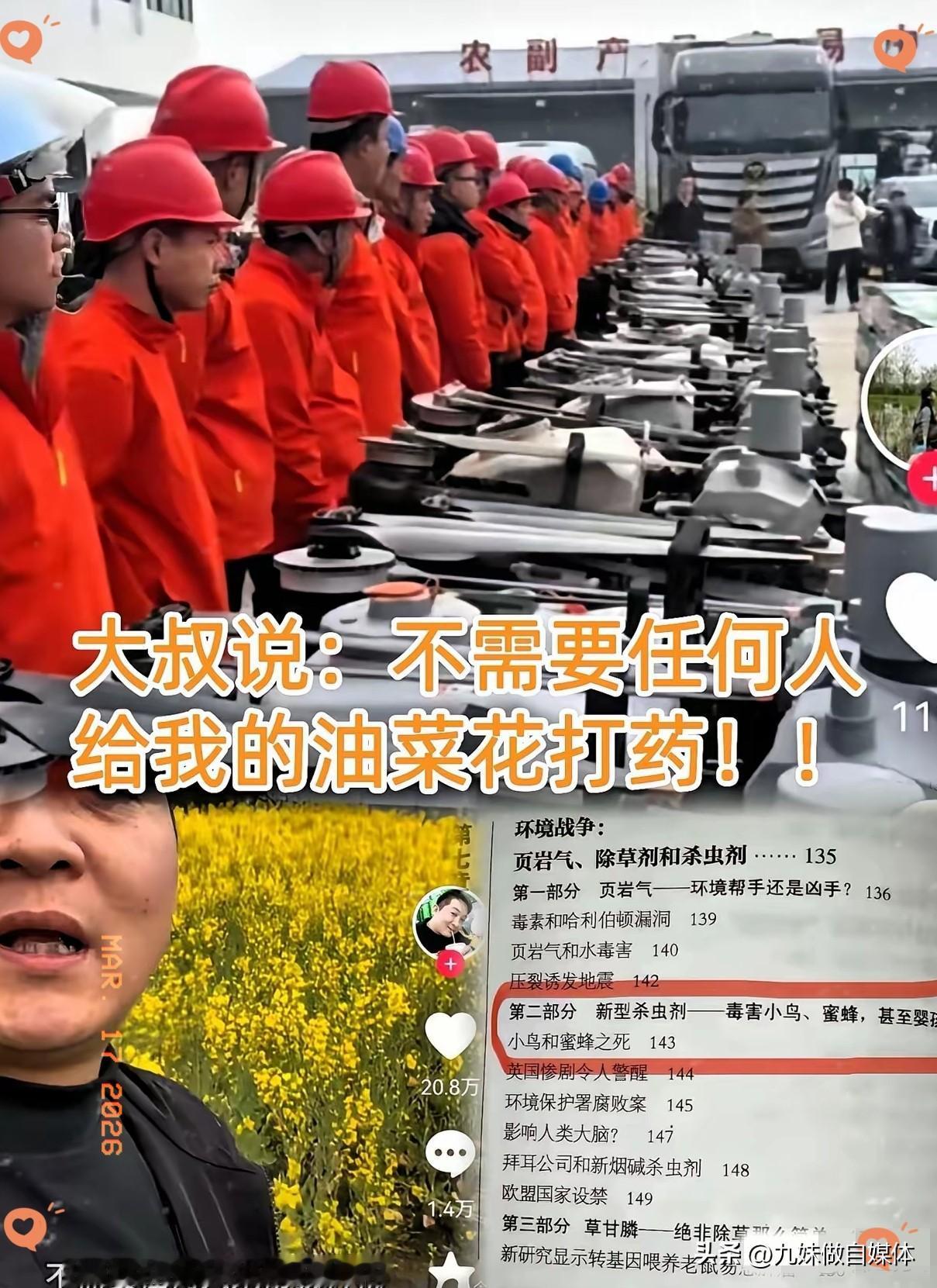 看着这新闻直接给我气乐了。
油菜花生机勃勃的没病，某些“专家”倒是病得不轻！
​