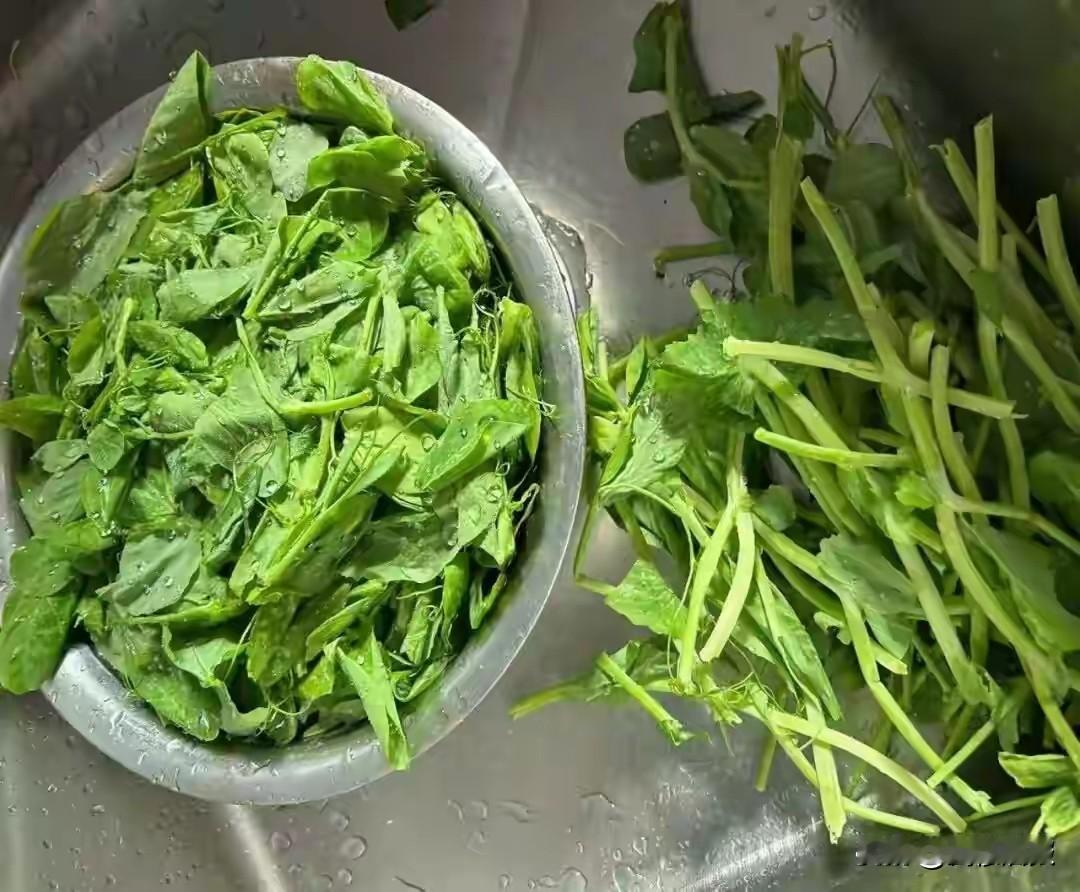 身材苗条的台州姑娘，时常全身乏力！许多人误认为是劳累所致，医生：不是累着了，得了