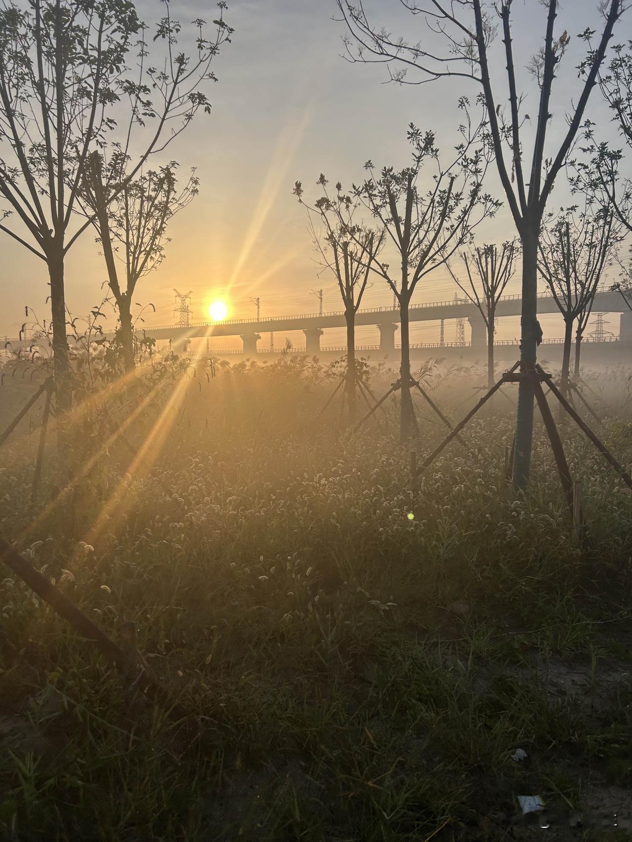 我从来都不需要定闹钟，只要记着某件事需要什么时间去做，一定会提前一个小时生物钟自