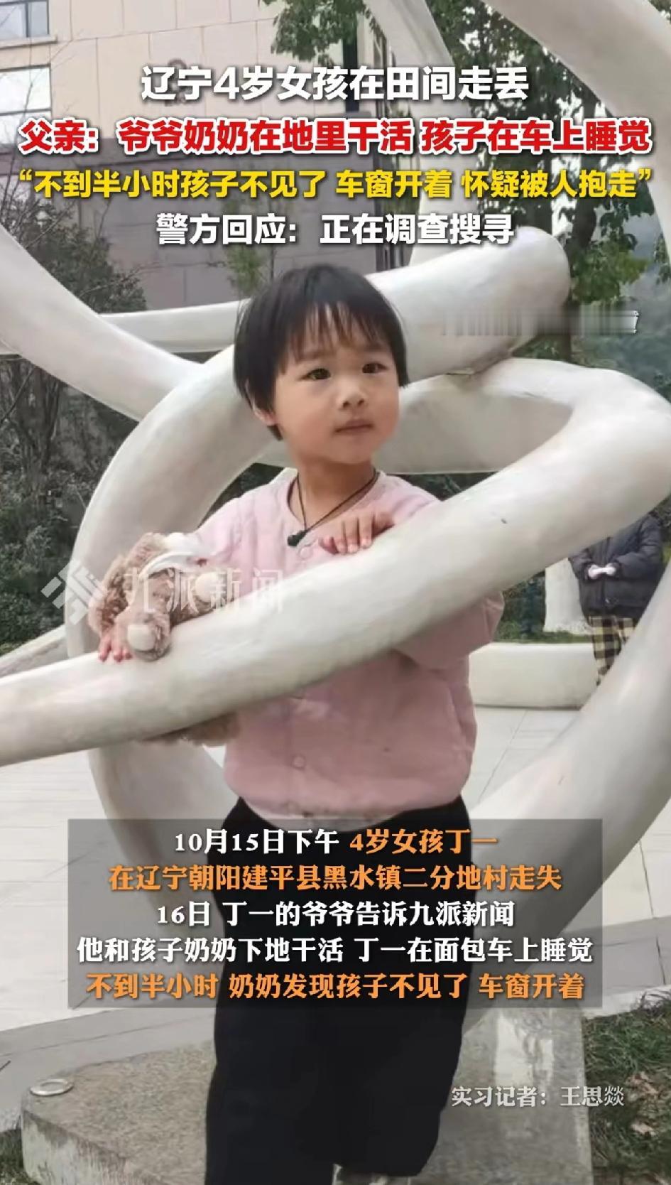 辽宁4岁女孩在田间丢失。
父亲：爷爷奶奶在地里干活 孩子在车上睡觉。
10月15