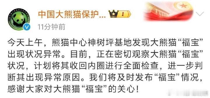 大熊猫保护研究中心回应福宝发抖  福宝发抖  保护中心将给福宝做全面检查 近日，
