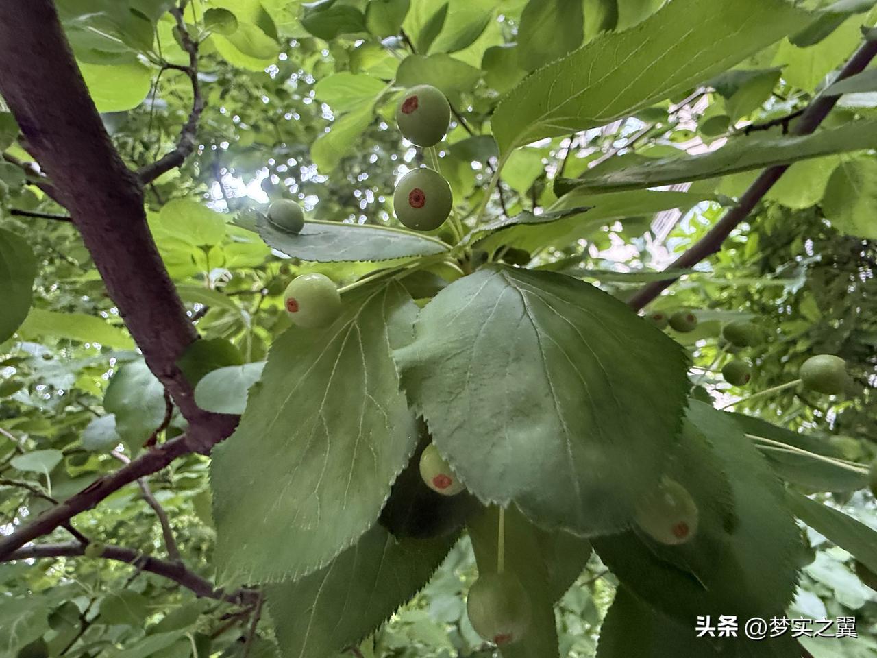 【小对联】
上：……？
下：名家。