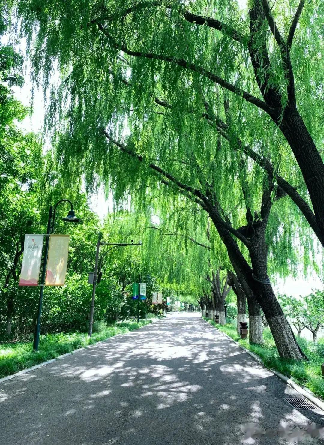 大运河森林公园，位于北京市通州区北运河新城城市段，北起六环路潞阳桥，南至武窑桥，