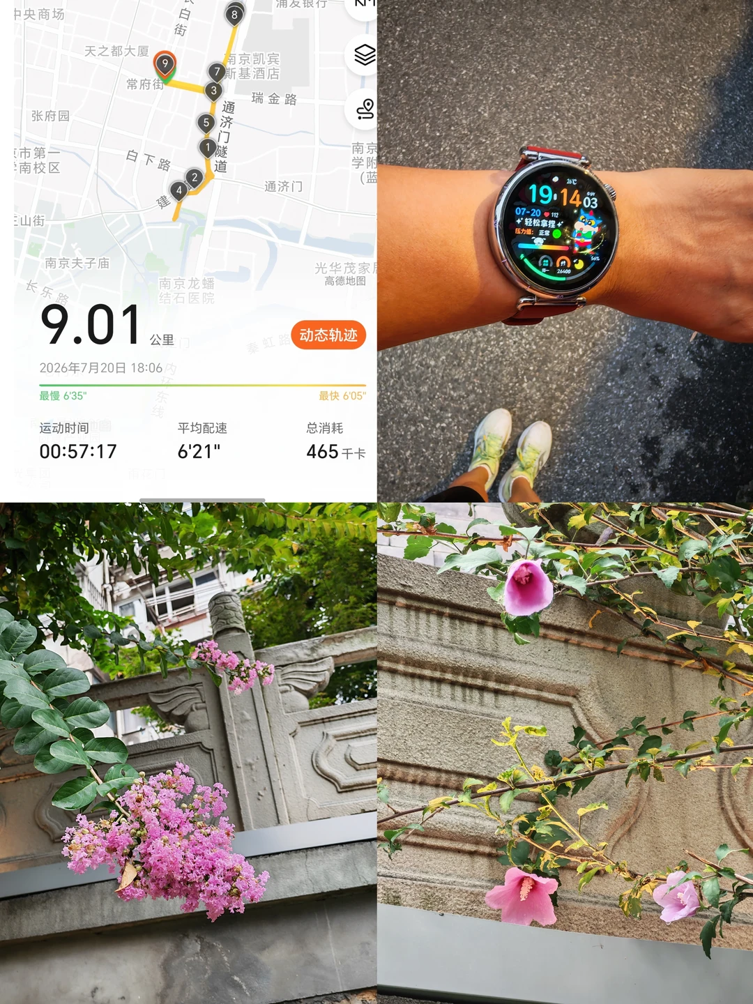跑步59🏃‍♀️秦淮河边的花花们